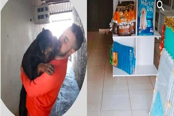 MS: dono de pet shop doa presentes para cães de rua e viraliza