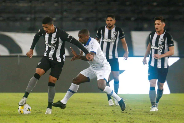 Botafogo perde em casa para o Avaí e entra na zona de rebaixamento