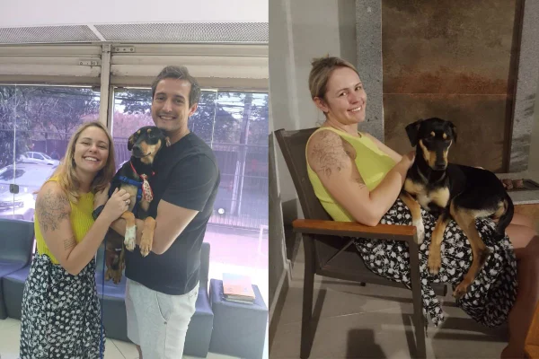 Montagem de duas imagens coloridas, na primeira, o cachorro com o casal, na segunda, no colo de uma mulher loira