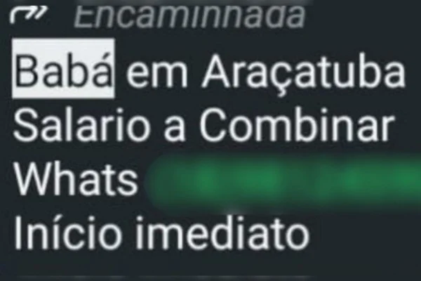 Imagem colorida mostra falsa mensagem procurando jovem babá no interior de SP - Metrópoles