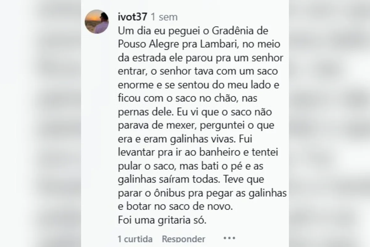 Após visitar 60 países, mulher elege ônibus de MG como “pior do mundo” - imagem 5 Após visitar 60 países, mulher elege ônibus de MG como “pior do mundo” - imagem 5