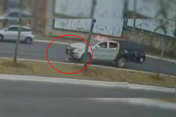 Viatura da PM atropela cachorro no DF e não presta socorro