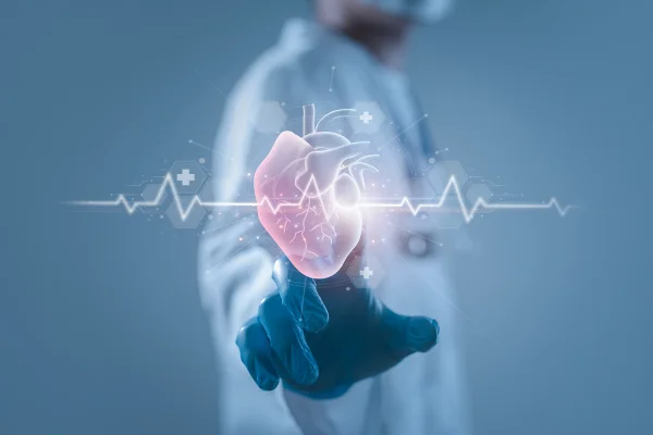 Imagem de um coração sendo analisado por um médico - Metrópoles