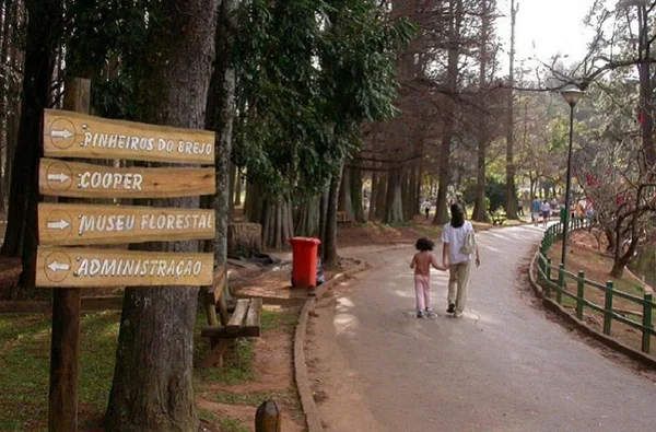 Parque Estadual Alberto Löfgren, conhecido como Horto Florestal, em São Paulo