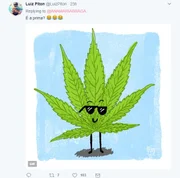 Ana Maria posta foto com erva e fãs acham que é maconha - imagem 6