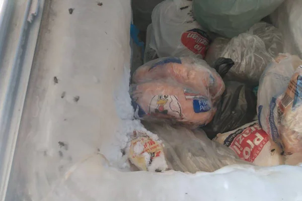 Polícia encontra até mosca congelada entre produtos de fábrica clandestina de paste em goiânia