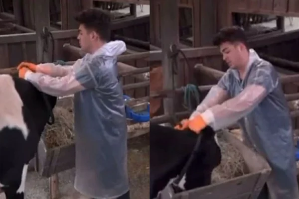 Lucas Santos leva advertência, mas Record nega maus-tratos a animais