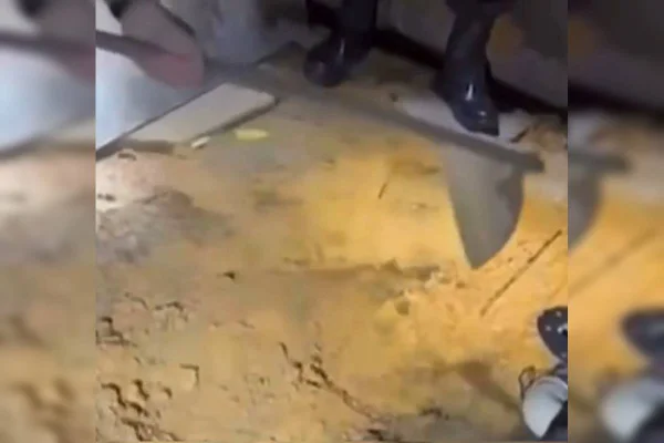 Bandido mata homem e enterra corpo no quintal de casa