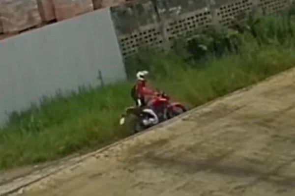 Imagens mostra motociclista abandonando cães em rodovia - Metrópoles