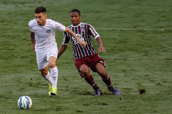 Com cabeça na Libertadores, Santos visita Fluminense neste domingo