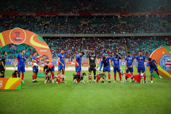 Jogadores do Bahia entram em campo com cachorros para adoção; veja