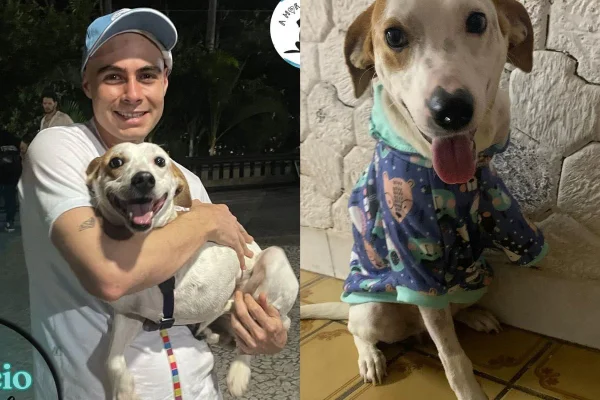 Montagem de duas imagens coloridas de cachorro deficiente com Rafael Vitti
