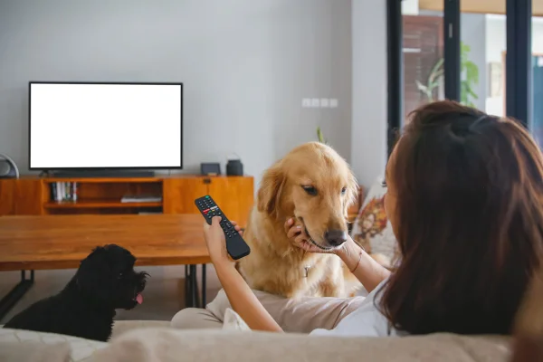 Mulher assistindo filme com cachorro