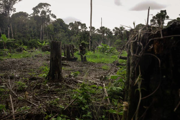 Imagem colorida de área desmatada na Amazônia