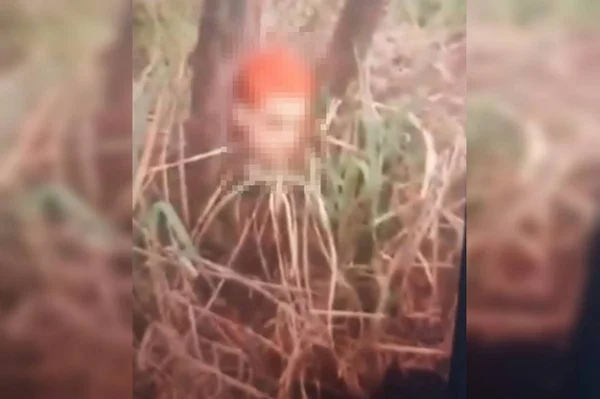 cabeça decapitada amarrada em árvore