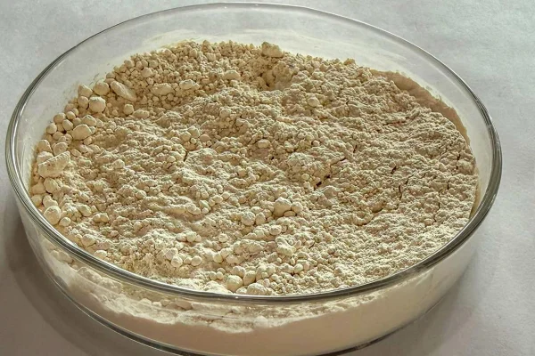 A fração proteica da farinha, feita a partir de grãos de feijão, apresenta sabor neutro e coloração clara. Metrópoles
