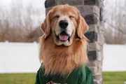 Tucker Tucker