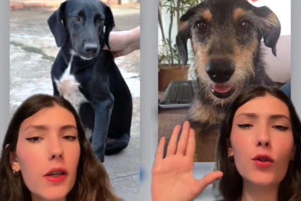 Foto colorida de uma menina e dois cachorros - Metrópoles