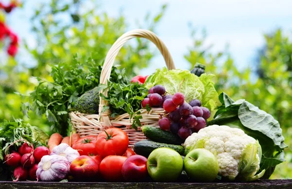 Artigo: farm to table 2.0 é a mais moderna tendência da gastronomia