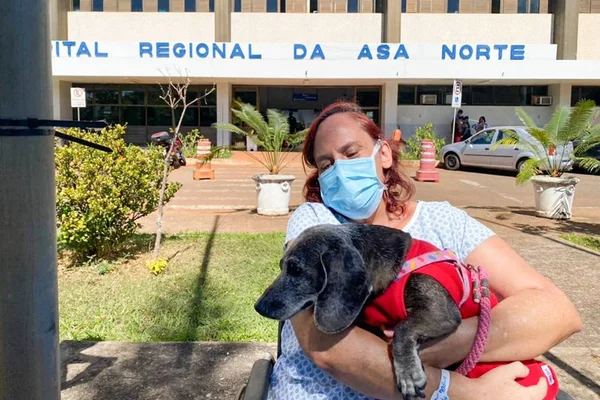 paciente do HRAN pode rever cachorrinha