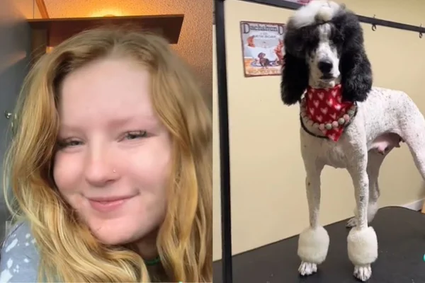 Tosadora de cães revela a maior desvantagem de seu trabalho. Descubra
