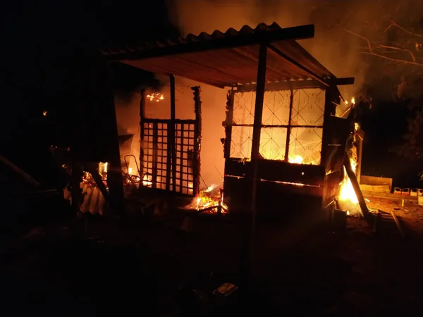 Bombeiros salvam dois cachorros