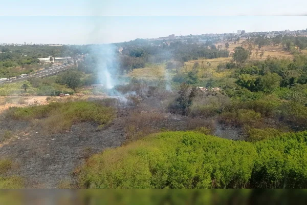Imagem colorida de um incêndio atingindo árvores