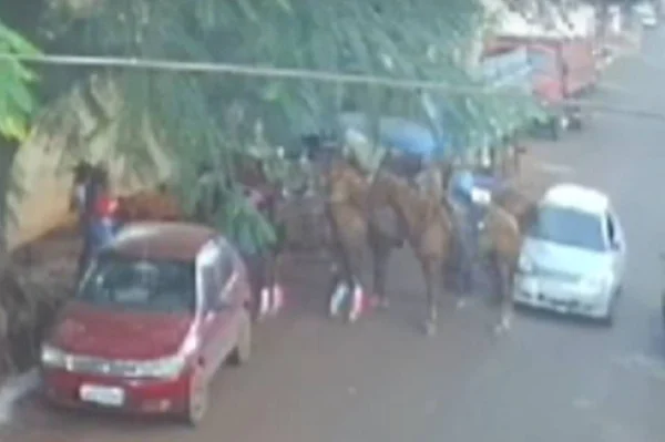 Motorista atropela cavalos na rua de propósito e é preso. Vídeo