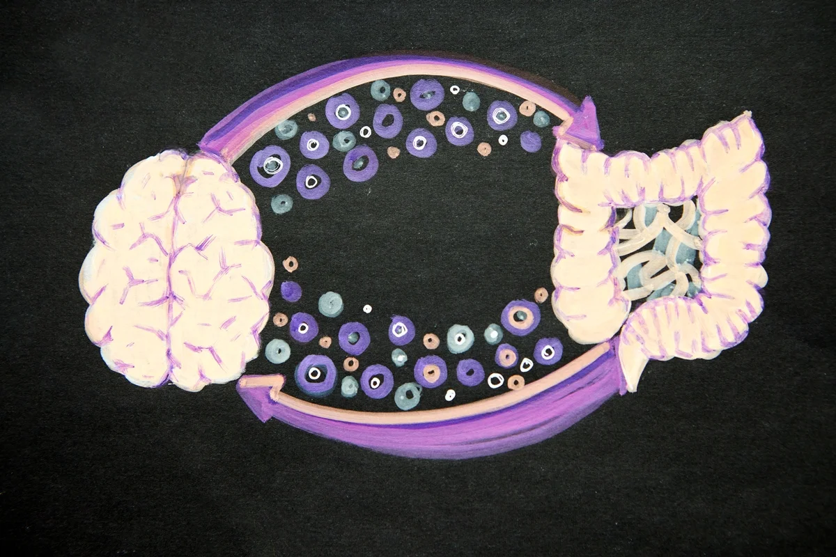 Ilustração do eixo intestino-cérebro mostrando a comunicação bidirecional entre o cérebro e o sistema digestivo, destacando a influência do microbioma na imunidade e na saúde mental e física. Metrópoles