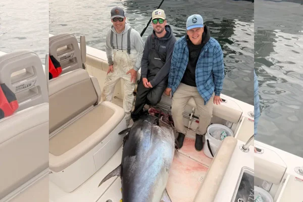 Foto colorida de três homens com um peixe gigante em um barco - Metrópoles
