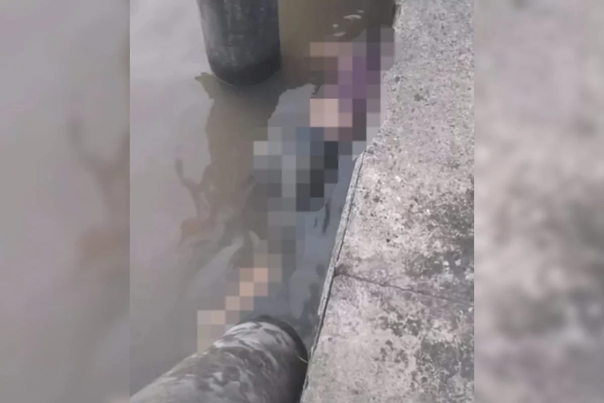 PA: adolescente desaparecida é achada morta em terminal hidroviário