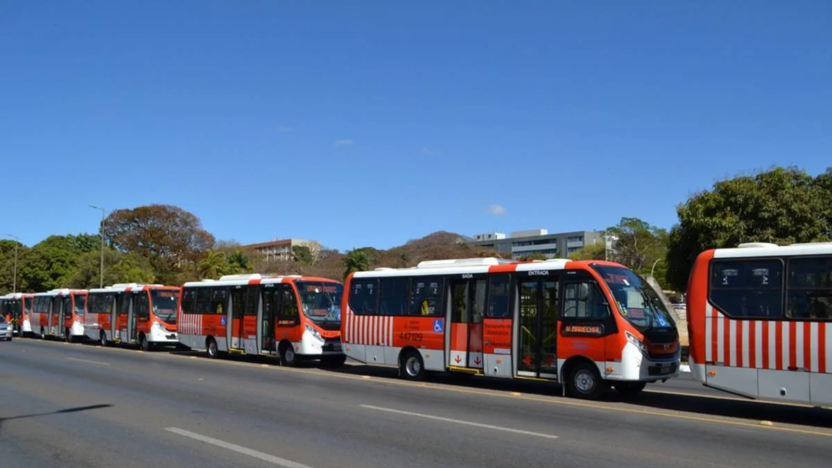 Águas Claras e Ceilândia terão Zebrinhas aos sábados. Veja novas rotas