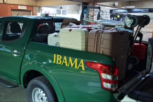 Operação apreende 62kg de barbatanas de tubarão em malas no aeroporto