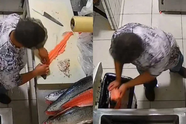imagem colorida funcionarios presos furto salmao