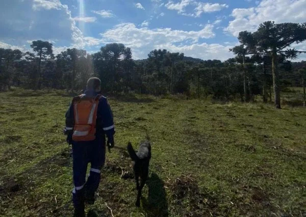 Homem que estava desaparecido é encontrado morto em SC