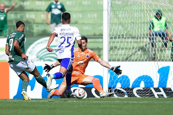 Guarani supera Cruzeiro na Série B, mas segue na zona do rebaixamento