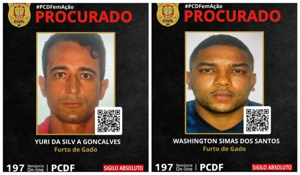 Ladrões de gado escapam de cerco policial e são procurados no DF
