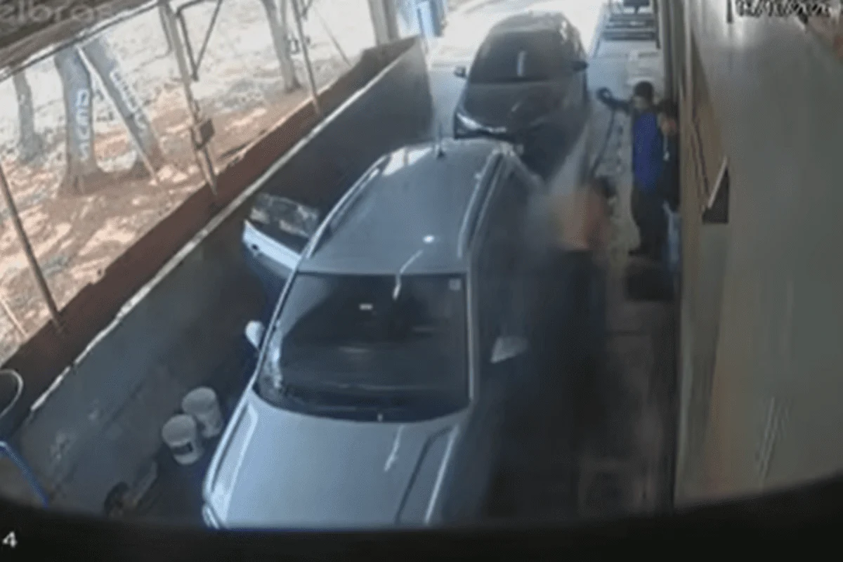 Trabalhadores atacados espantam abelhas com jatos d’água na Asa Norte