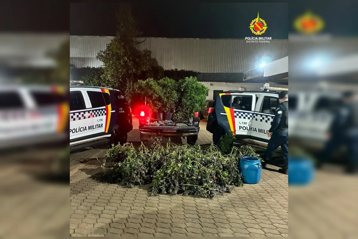As apreensões aconteceram na noite dessa segunda-feira (28/9) As apreensões aconteceram na noite dessa segunda-feira (28/9)