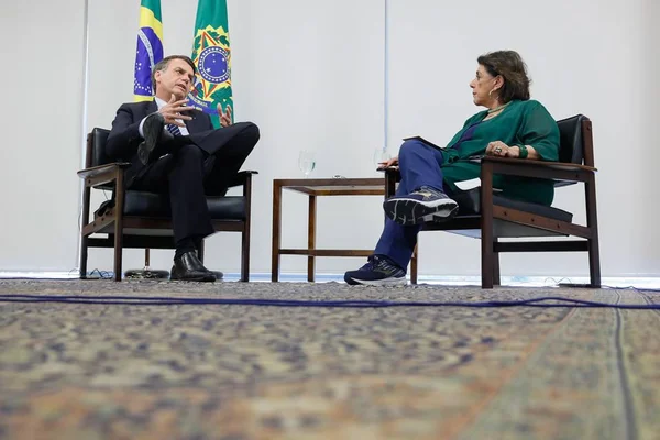 Bolsonaro sobre criminosos: “Vão morrer na rua igual barata”