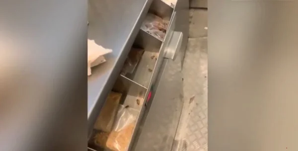 Baratas são vistas em quiosque do McDonald's