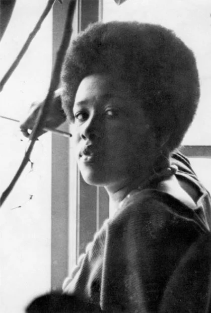 Quase 50 anos depois, clássico da literatura negra chegará ao Brasil