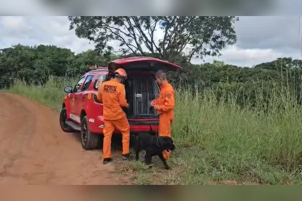 Cão farejador nas buscas em São Sebastião