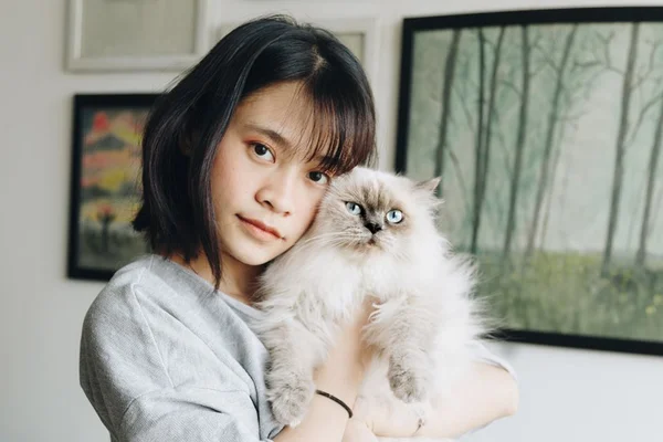 Estudo aponta que gatos imitam a personalidade de seus donos