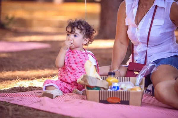 Funn Festival 2019 terá parque de diversões e apresentações infantis