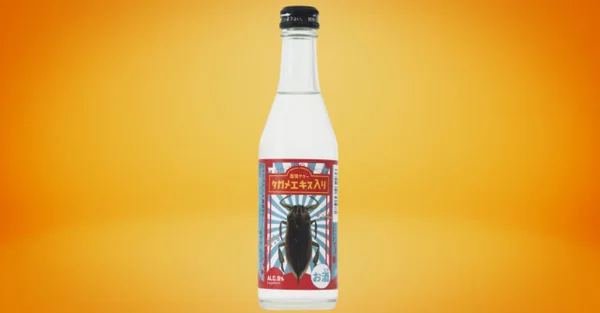 Cerveja de barata