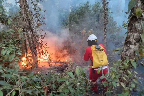 Combate a incêndio florestal em São Paulo