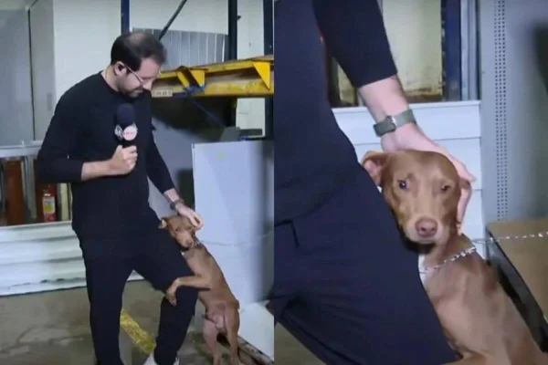Paulo Mathias gravando no RS com cachorro agarrado a sua perna - Metrópoles