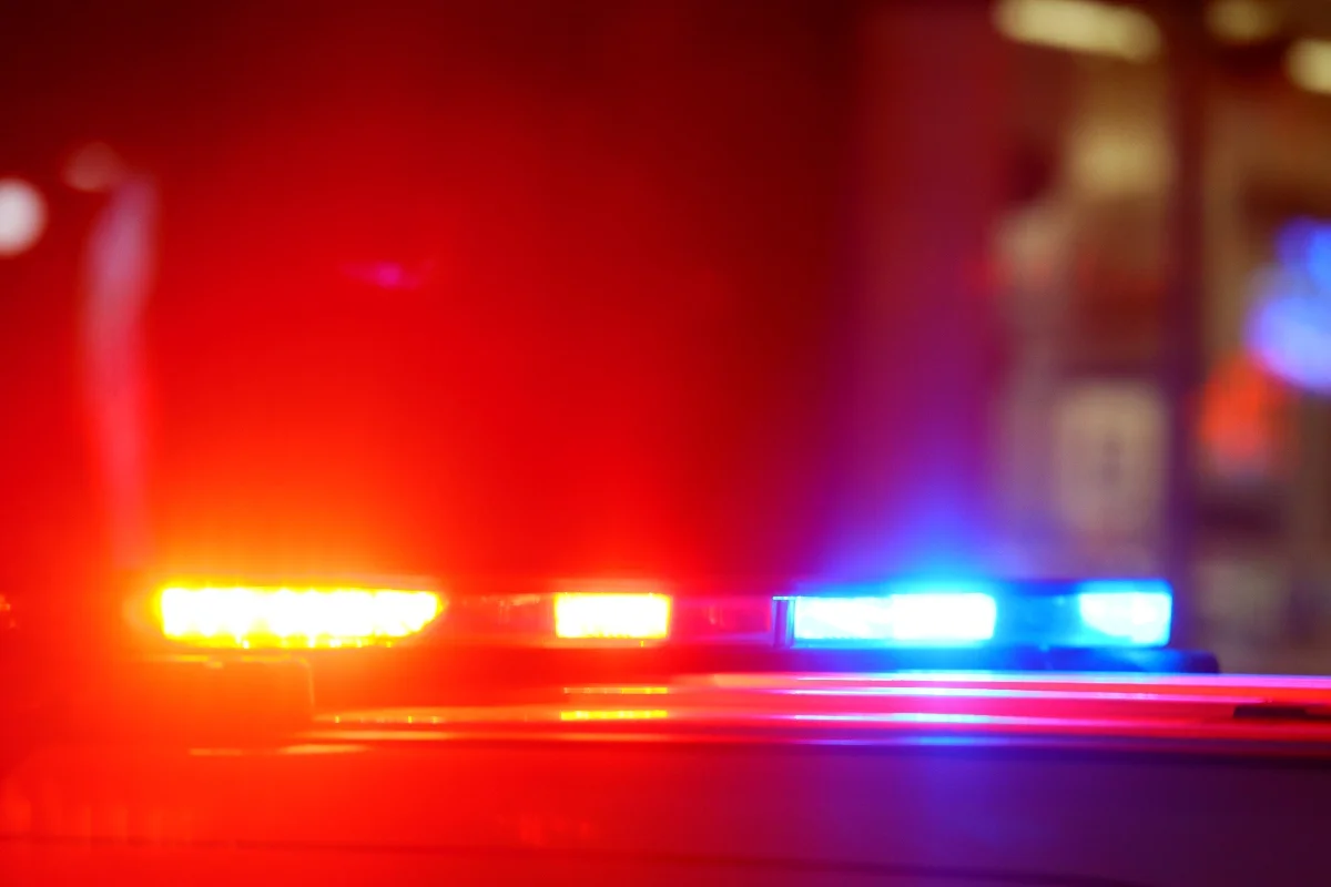 Mulher trans presa por suspeita de cegar e decepar orelhas de padrasto