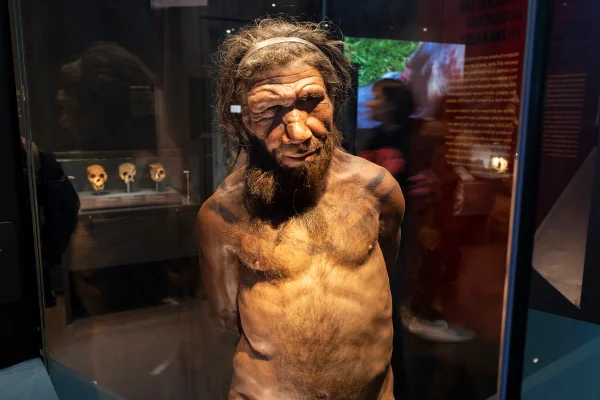 Homem de Neandertal na exposição sobre evolução humana no Museu de História Natural em 19 de janeiro de 2024 em Londres, Reino Unido - Metrópoles